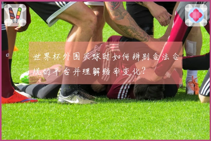 世界杯外围买球时如何辨别合法合规的平台并理解赔率变化？