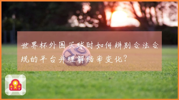 世界杯外围买球时如何辨别合法合规的平台并理解赔率变化？