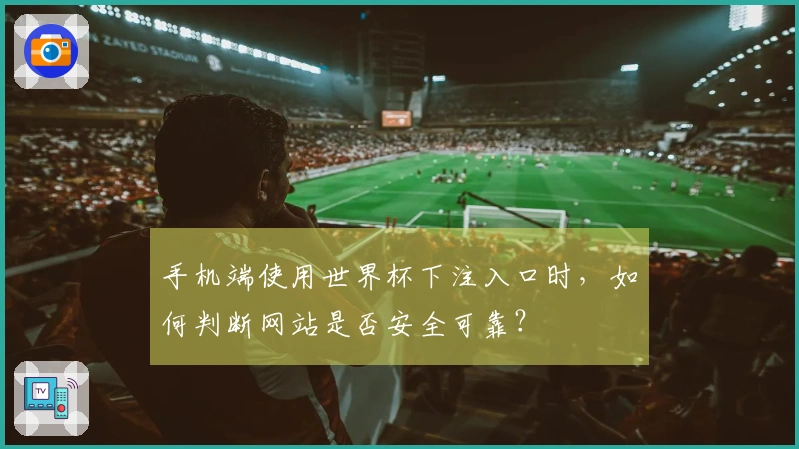 手机端使用世界杯下注入口时，如何判断网站是否安全可靠？