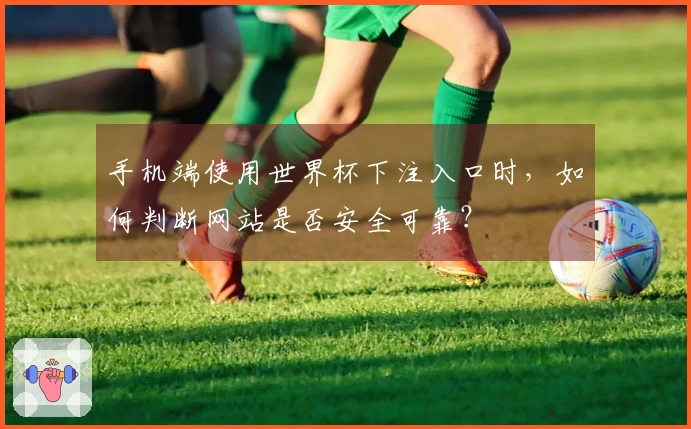 手机端使用世界杯下注入口时，如何判断网站是否安全可靠？