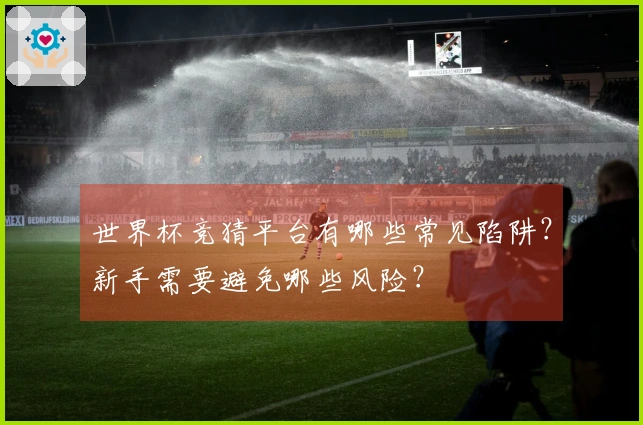 世界杯竞猜平台有哪些常见陷阱？新手需要避免哪些风险？