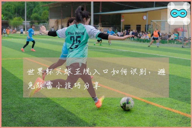 世界杯买球正规入口如何识别，避免踩雷小技巧分享