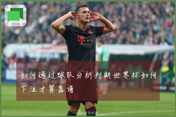 如何通过球队分析判断世界杯如何下注才算靠谱