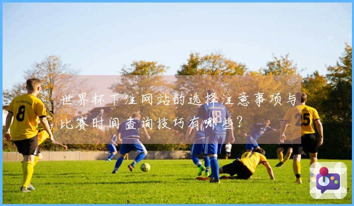 世界杯下注网站的选择注意事项与比赛时间查询技巧有哪些？