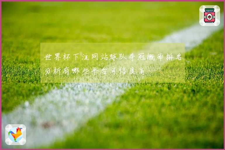 世界杯下注网站球队夺冠概率排名分析有哪些平台可信度高
