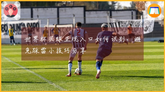 世界杯买球正规入口如何识别，避免踩雷小技巧分享