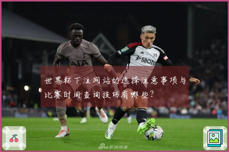 世界杯下注网站的选择注意事项与比赛时间查询技巧有哪些？